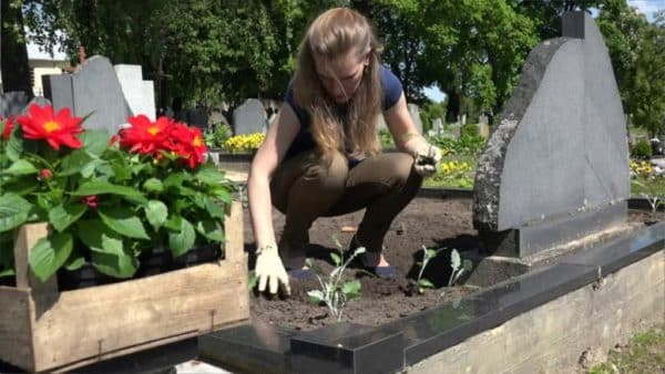 Уход за могилой в Севастополе в осеннее время года. Уход за могилой осенью в Севастополе: МИНЕЕВ ГРУПП